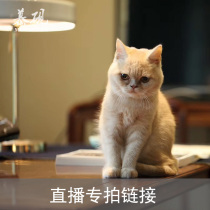 Mu Yan live broadcast special shot link tea cup teapot tea pot tea set incense burner to take note product number