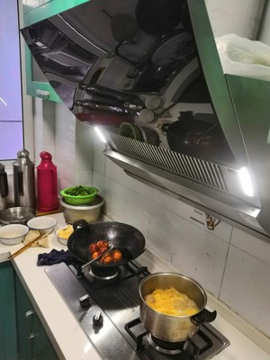 请指教诉述华帝CXW-248-i11090油烟机怎么样，用后三个月真实反馈