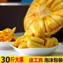 On the same day 30kg of first-class big fruit Hainan yellow meat jackfruit yellow heart fresh fruit Paramita Wood pineapple
