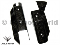 Germany CarbonWorld carbon fiber water tank cover Ducati Ducati848 1100 Street Fighter