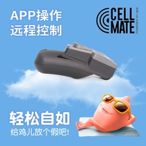 Chastity lock Male remote CB lock Penis chastity lock Prisoner love training Cellmate birdcage Abstinence SM sex appliances