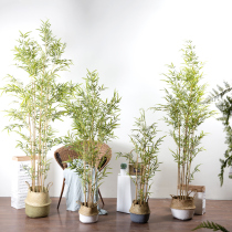 Simulation Bamboo Fake Bamboo New Chinese Style Floor Meditation Green Planting Potted Plant Pendulum Pieces Decoration Bonsai Living Room Large Plant