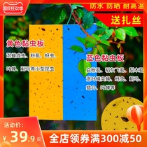 Stickworm board yellow board double-sided insect trap board blue board small black flying insect paper agricultural greenhouse thrips myworm board