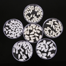 ABS imitation pearl acrylic earrings diy jewelry material handmade hair accessories necklace beaded beads accessories