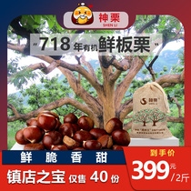 Shen Li Town Store Treasure 718 years of chestnut tree fruit 2021 fresh organic chestnut 2kg