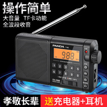 PANDA Panda T-02 Old Radio Full Wave Portable Semiconductor FM FM radio