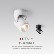 Surface mounted small spotlight downlight led ceiling light single lamp Nordic living room track ceiling ceiling cob rotatable spotlight