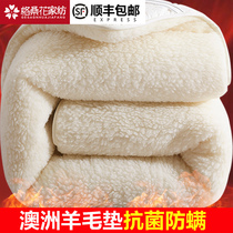 Wool mattress pad pad pad pad thickened pad quilt mattress Furry household mattress Winter warm futon floor
