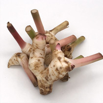 Thailand Southern ginger fresh South ginger 250g galangal ginger mountain Nai dongyingong soup fresh hot pot seasoning edible