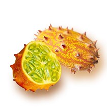 Fire ginseng fruit 2 fresh reunion 4 annihilation same fruit season African Thorn melon explosion fruit Mars fruit