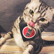 Pet saliva towel cat dog bib collar collar scarf scarf with collar triangle towel shake sound