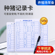 Chinese animal sow production record card breeding birth sow with production file card waterproof breeding record sheet thickened