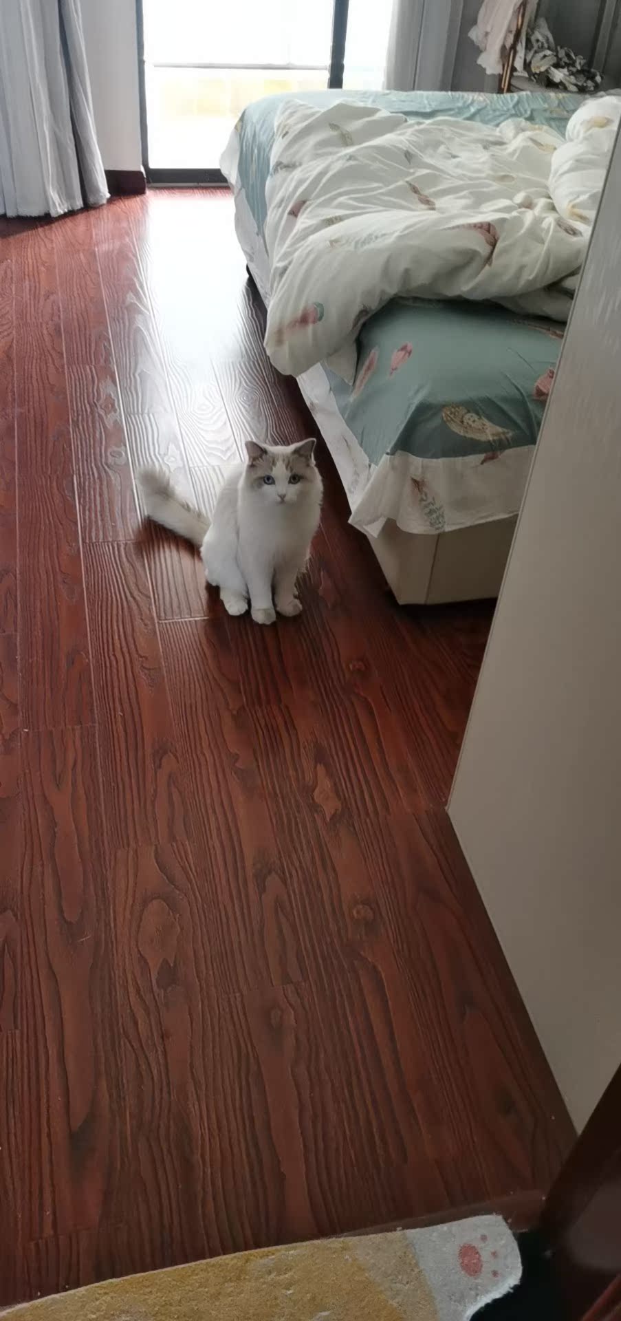 怡丽丝尔乳液/面霜测评怎样?优缺点解密好不好?