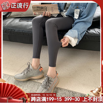 Pregnant women shark pants women wear plus velvet plus size 200 Jin winter 2021 New thick leggings Barbie pants spring and autumn