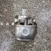 SDH Shanghai Volkswagen hydraulic gear pump oil pump hydraulic gear pump CBF-E10P CBF-E25P 20MPA
