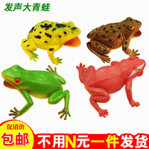Simulation frog model pinching called animal toys Fake toad toad props five poisonous scary tricky reptiles