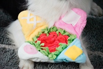 Dumbass home exports to South Korea Pet sniffing pad Pet puzzle hidden food toy Anti-choking bowl can sound