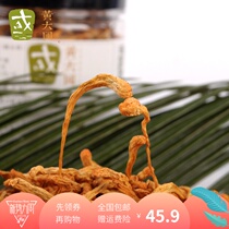 Cordyceps Flower 200g with powdered spore head
