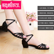 Charm Dance Childrens Latin Dance Shoes Girls Middle Heel Soft Sole Dance Shoes Special Summer Girls Dance Shoes