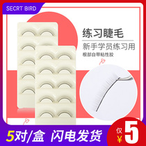 Novice practice grafting eyelashes Beginner planting false eyelashes Fiber hair eyelash shop Beauty salon grafting tool box