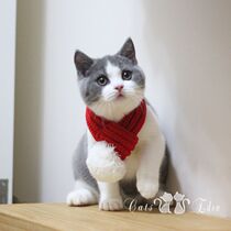 Pet cat Christmas New Year holiday warm ball ball festive scarf Wool knitting cute cat cat dog bib