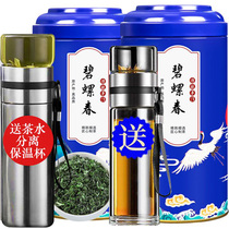Green tea 2021 new tea Biluochun tea Maojian tea Rizhao Mountain Cloud Tea strong fragrance bulk canned 500g