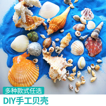 Shell accessories diy Handmade materials Creative children nursery Puzzle gifts Adult toys to pass the time