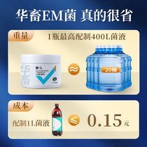 Chinese livestock general-purpose embacterium fertilizer hydroponic algae conditioning intestinal compost root-increasing seedlings planting aquaculture probiotics