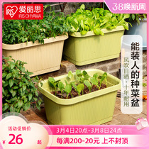 Alice Flower Pot Balcony rectangular large plastic pot Alice planted multiple pots