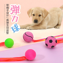 Dog toy ball pet training elastic ball supplies puppies teddy gold wool dog grindle resistant to biting rubber Real heart ball