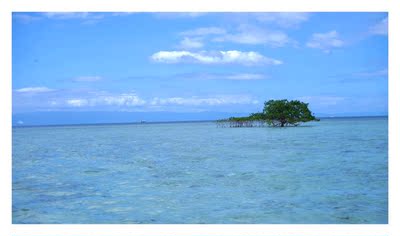 泳衣拍照很高级 实际的话不太受用 🐻那一块太跑🐻我是80C 穿起来很平的感觉&hellip;