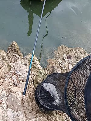 鱼竿相当给力,5斤的埃及拉上岸,值得购买 鱼竿相当给力,5斤的埃及拉上岸,值得购买