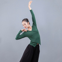 Modern dance dress female adult New Cross collar Latin Dance Top yoga body dance ballet practice uniform