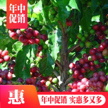 Carl Freshly ground freshly baked Extra Alcohol espresso Cappuccino Latte espresso coffee beans 500g