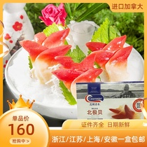 3S Arctic shellfish Canada imported fresh Arctic shellfish sashimi 1kg 91-111 pcs