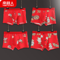 Antarctic man mens underwear Rat year pattern of the year flat pants pure cotton wedding big red four-angle shorts college entrance examination