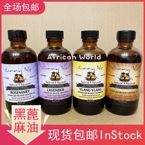 Spot Sunny Isle Jamaican Black Castor Oil Jamaican black castor oil 118ml