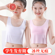 Just developed girls underwear summer thin anti-bump ice silk camisole Vest development period primary school students in summer ten years old