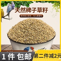 Bird Food Water Pasture Grass Seed Hibiscus Seed Hibiscus Bird Parrot Pearl Bird Vin 500g