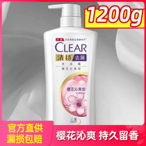 Chhnang shampoo 1 2kg Ms. anti-dandruff shampoo liquid Sakura Qin Shuang xi tou gao lasting fragrance