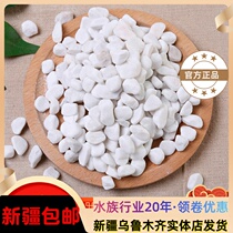 White stone Courtyard Landscape Paving paving with large cobble Pebble Fish Tank Made of Multi-Meat Potted and Decorative White Small Stones