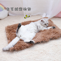 Long fluff pet mat for dog warm cat mat non-slip four seasons universal cat blanket dog mat