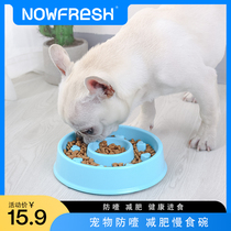 Pet bowls Slow food Bowl Anti-Choke Dog Bowl cat Bowl Pet Bowls anti-overturning dog Pelvis MEOW ITEMS PETS TO LOSE WEIGHT
