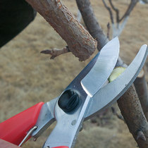 Tough cutting pruning scissors knife cutting Flower Branch fruit tree scissors flower scissors strong gardening scissors