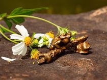 Ogrimar bronze Seiko L-class small bronze sculpture small tree frog model ornaments Tea Pet lucky town house