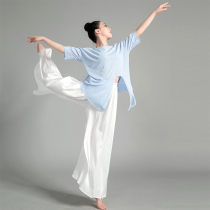 Modern Latin Jazz Ballet Dancer Costume Dance Suit Female Adult Open Fork Knotted Perspective Loose Jacket