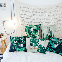 Simple Nordic pillow pillow sofa pillow cushion living room small fresh pillow office pillow ins pillow