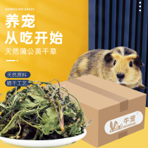 Natural large leaf dandelion grass 500g Rabbit Dutch pig dragon cat tian geranium hay fever and detoxifying pet snacks