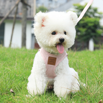 Korean PuppyGallery dog leash for walking dog Teddy dog chain small dog cat leash