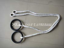 Manufacturer Direct Sales Professional Rings Fitness Home Guide Up Instrumental Rehabilitation small fitness equipment